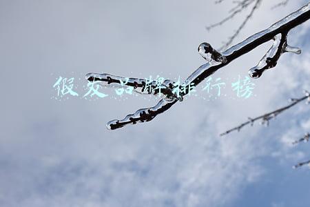 假发品牌排行榜