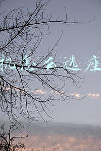 飞机怎么选座位