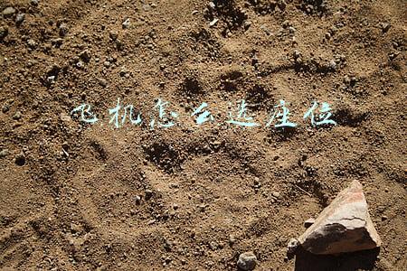 飞机怎么选座位