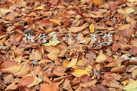 微信表情包制作