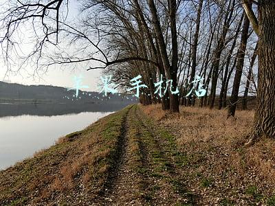 苹果手机店