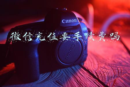 手机微信充值要手续费吗(微信支付宣布进一步降低小微商户实行支付手续费)