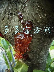 拼多多官方网站