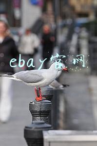 ebay官网