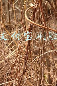 支付宝刷脸机(支付宝二代刷脸POS机面世，布局50万人搞刷脸支付)
