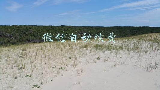 微信自动续费