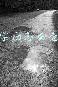 学历怎么查