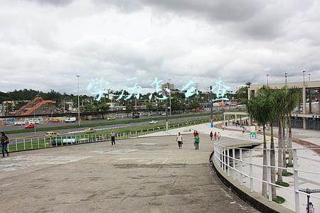 学历怎么查