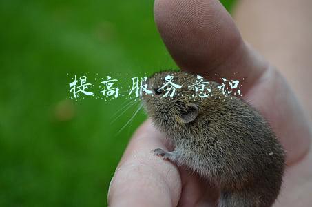 提高服务意识