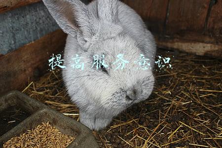 提高服务意识
