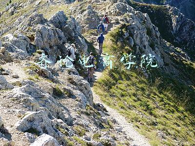 齐论电商学院空缺老师怎么样(明明薅不动“伪中产”，购物中心却越开越多｜氪金)