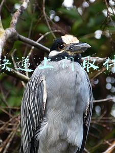顺丰快递上门取件时间