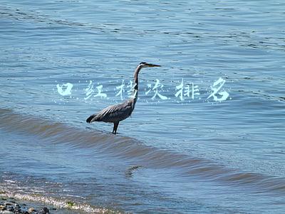 口红档次排名