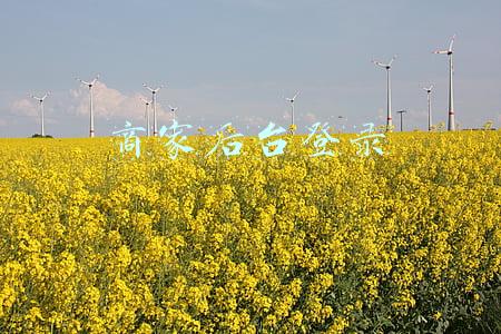商家后台登录