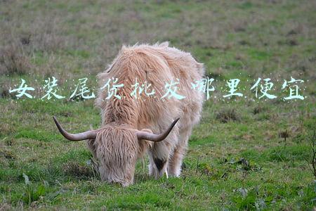 女装尾货批发哪里便宜