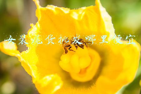 女装尾货批发哪里便宜