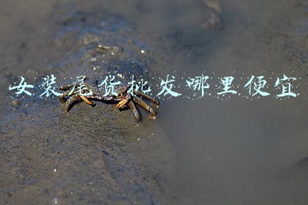 女装尾货批发哪里便宜