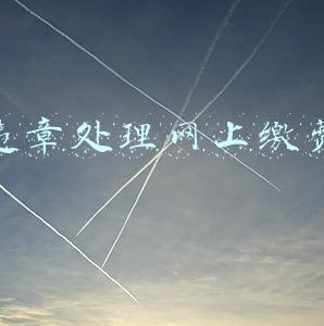 违章处理网上缴费