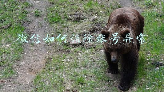 新注册微信如何消除账号异常(新微信号如何加人不容易出现异常，如何模仿真实使用微信骗过系统)
