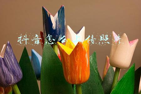 抖音怎么上传照片