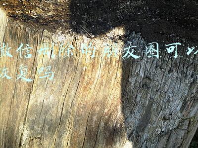 微信删除的朋友圈可以恢复吗