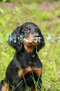 微信控制骰子点数设置2022(微信摇骰子游戏是不是能作弊)