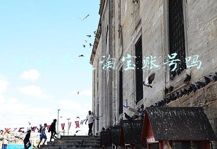 旺旺号是淘宝账号吗
