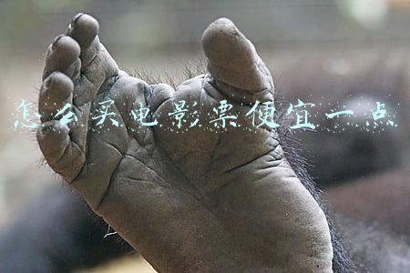 怎么买电影票便宜一点