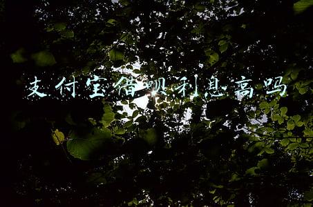 支付宝借呗利息高吗