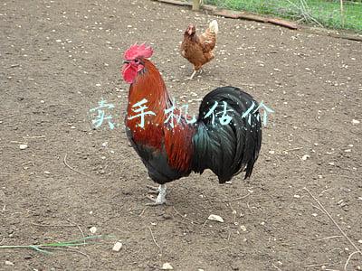 卖手机估价