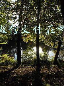 手机微信文件在哪个文件夹