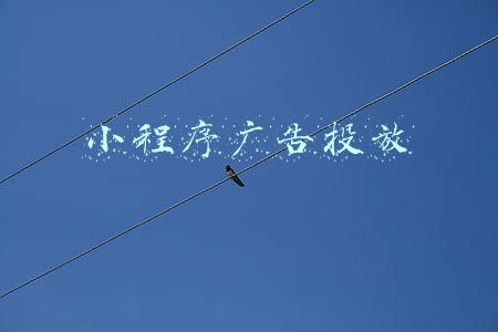 小程序广告投放平台(有赞小程序宣布推广功能升级：可通过链接在抖音、头条带货)