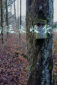 淘宝延长收货卖家知道吗(官方小二教你怎么延长信用保障订单的收货时间！必看)