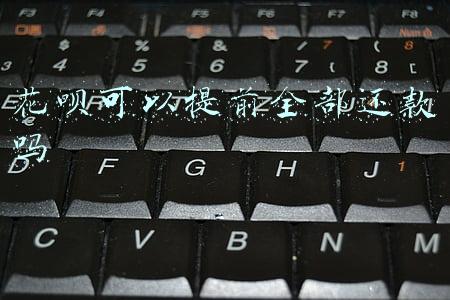 花呗可以提前全部还款吗