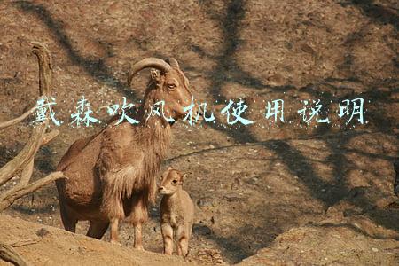 戴森吹风机使用说明