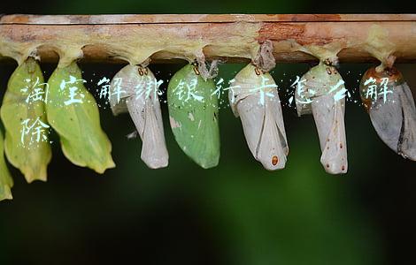 淘宝解绑银行卡怎么解除
