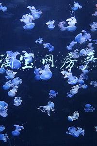 淘宝司法拍卖房产(网上司法拍卖，买房《捡漏》有风险)
