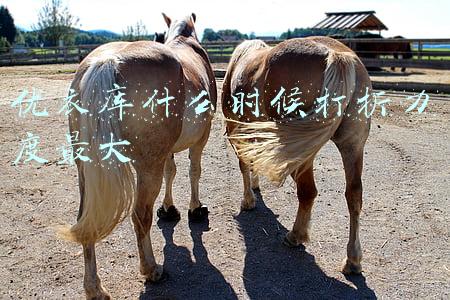 优衣库什么时候打折力度最大