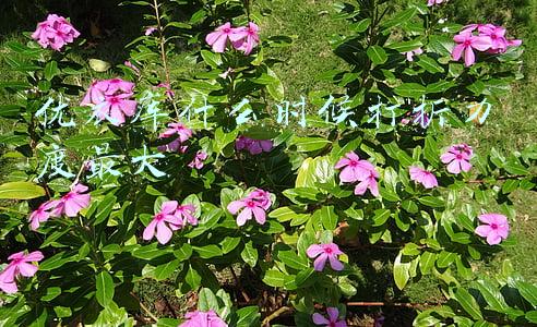 优衣库什么时候打折力度最大