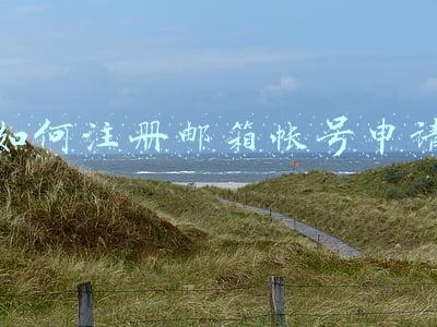 如何注册邮箱帐号申请