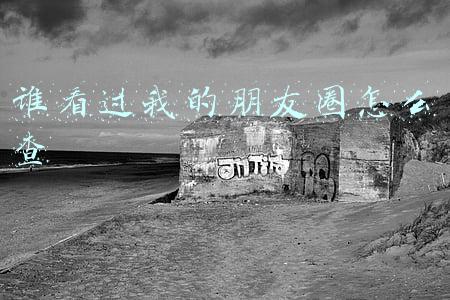 谁看过我的朋友圈怎么查