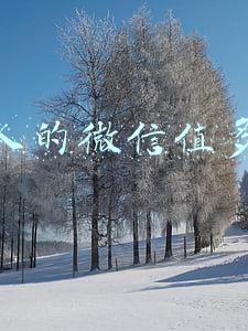 一个五千人的微信能卖多少钱(有大量微信好友怎么变现？)
