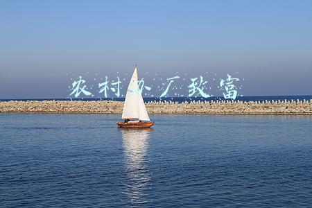 农村办厂致富