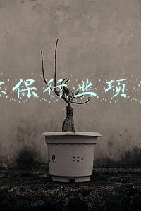 环保行业项目
