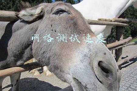 移动网络测试速度(限速60公里一小时 博罗重新启用两处移动测速)
