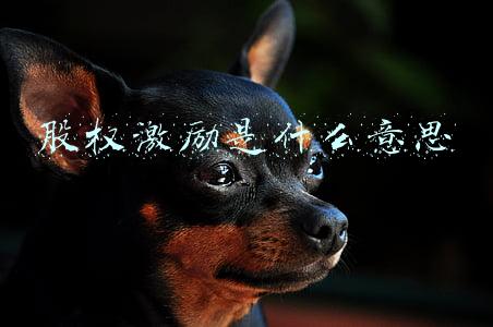 股权激励是什么意思对个股有什么影响(什么是限制性股票激励计划？是好，还是坏？)