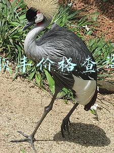 顺丰价格查询