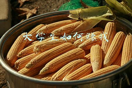 大学生如何赚钱