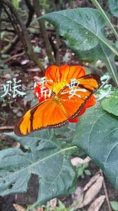 跨行转账需要多长时间