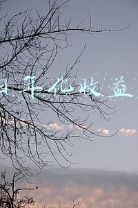 7日年化收益率如何转换成年利率(贷款年化利率、月利率你真的会换算吗？)